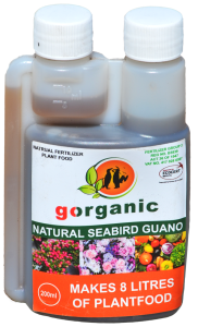 generated image november 10, 2025 7 27am